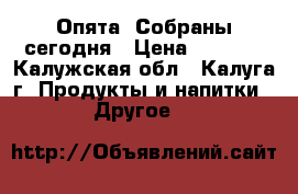 Опята. Собраны сегодня › Цена ­ 1 000 - Калужская обл., Калуга г. Продукты и напитки » Другое   